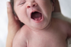 newborn-stories-2014-3
