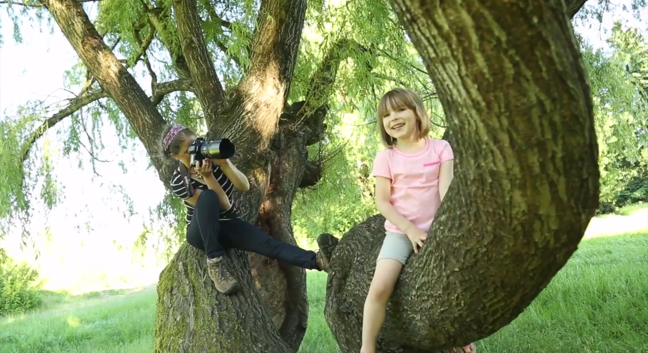 Lifestyle photographer playing with little girl in a tree